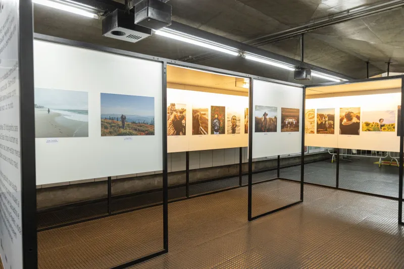 Collected Provocations: The Case for Acquiring Art That Challenges and Unsettles