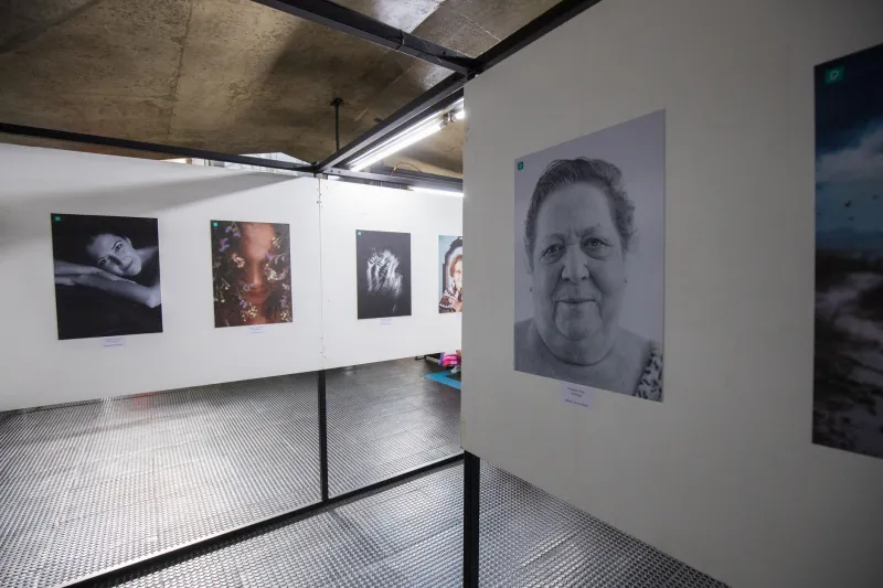 Art That Demands Attention: Displaying Provocative Work Without Losing Your Sense of Place