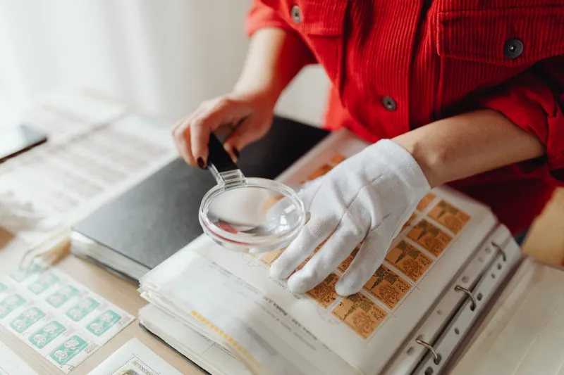 Paper Trails and Pixel Proofs: A Collector's Guide to Verifying What You Buy